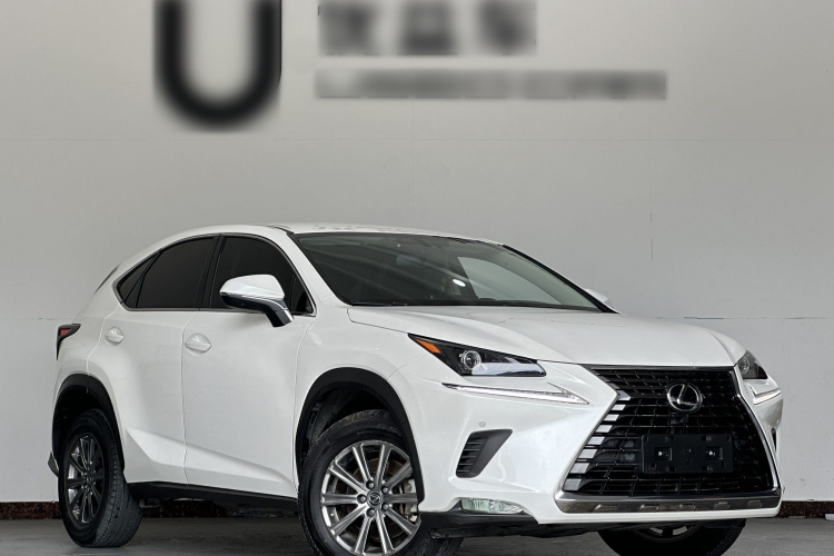 雷克萨斯NX 2020款 200 前驱 锋行版 国VI车身外观6002