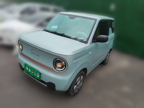 吉利银河 2024款 熊猫mini 200km 耐力熊