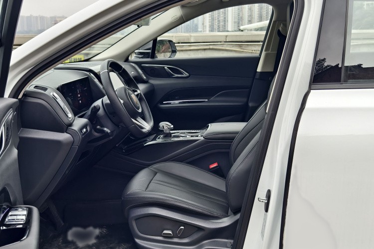 红旗HS3 PHEV 2024款 PHEV 115km 劲为版局部细节19