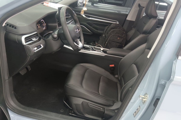 吉利汽车 帝豪 2023款 第4代冠军版 1.5L CVT尊贵型局部细节19