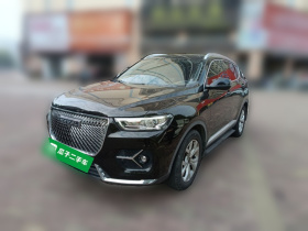哈弗H6 2021款 1.5T 自动都市版