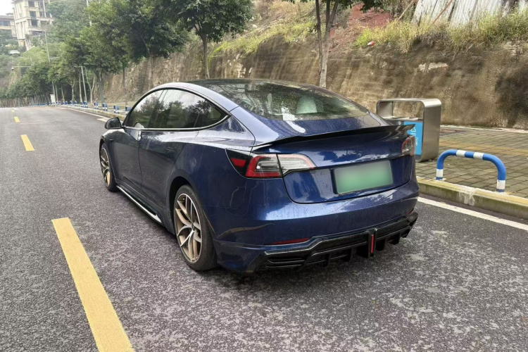特斯拉 Model 3 2021款 标准续航后驱升级版 3D6车身外观6007