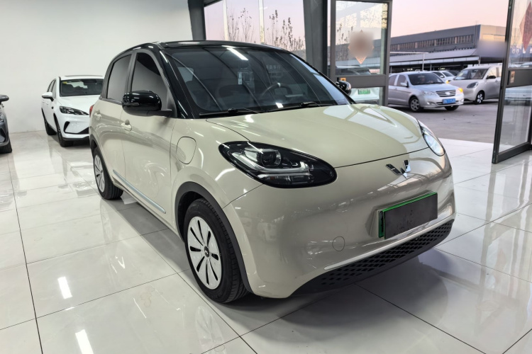 五菱汽车 五菱缤果 2023款 203km 轻享款车身外观6002