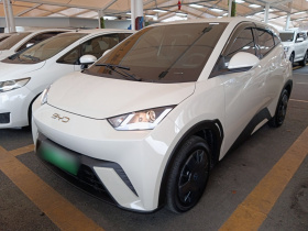 比亚迪 海鸥 2025款 305km 活力版