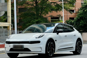 极氪001 2022款 长续航双电机 WE版