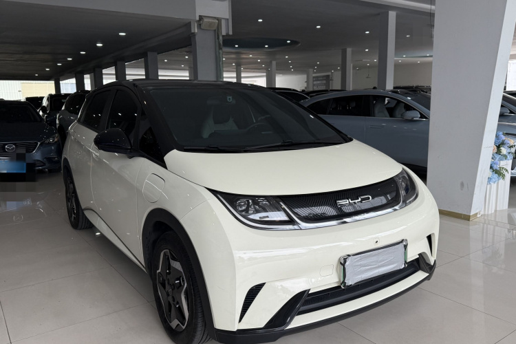 比亚迪 海豚 2021款 405km 自由版车身外观6006