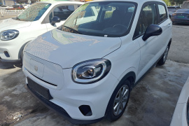 零跑汽车 零跑T03 2022款 玛瑙版