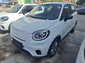 零跑汽车 零跑T03 2022款 玛瑙版