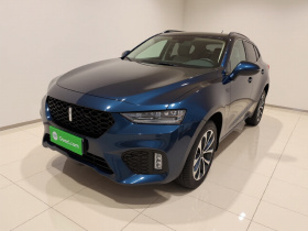 魏牌 VV7 2017款 2.0T 超豪型