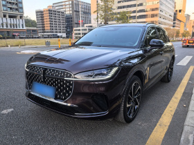 林肯 冒险家 2023款 2.0T 四驱尊耀版