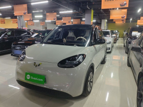 五菱汽车 五菱缤果 2024款 333km 悦享款