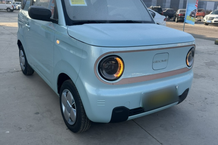 吉利银河 2024款 熊猫mini 200km 耐力熊车身外观6001