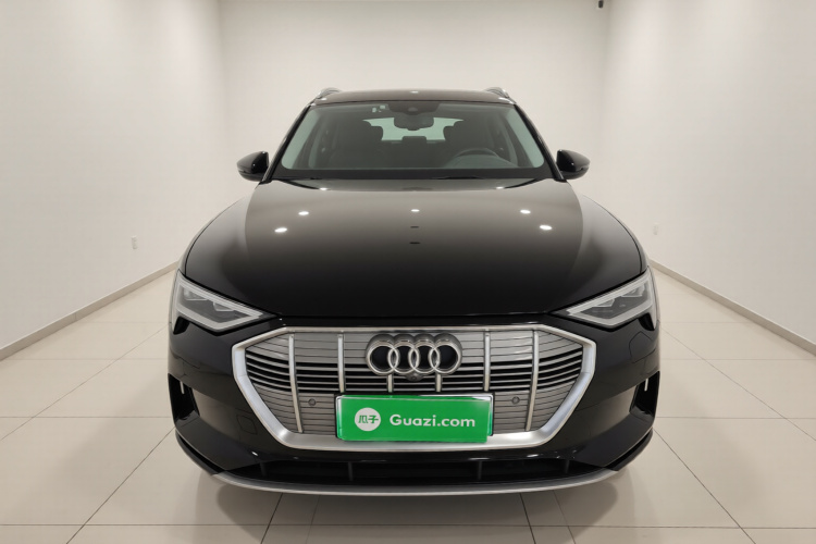 奥迪e-tron(进口) 2019款 55 quattro 技术型车身外观2