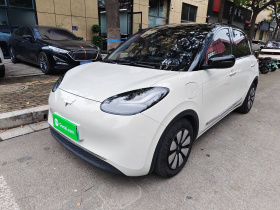 五菱汽车 五菱缤果 2023款 333km 悦享款