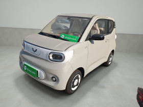 五菱汽车 宏光MINIEV 2024款 第三代 215km 青春版