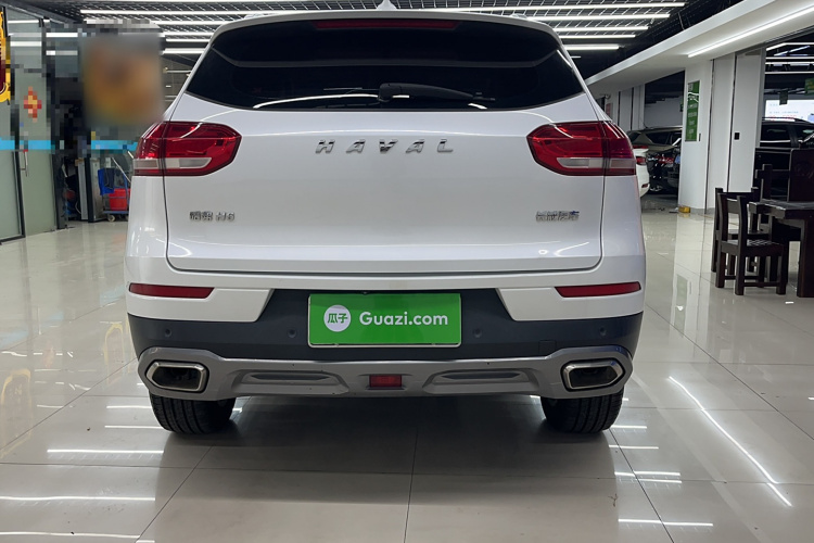 哈弗H6 2020款 1.5GDIT 自动铂金冠军版车身外观6005