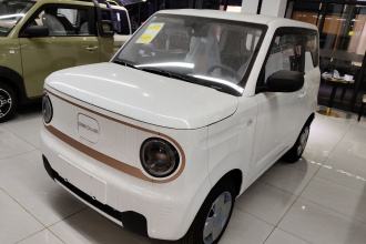 吉利银河 2024款 熊猫mini 200km 耐力熊