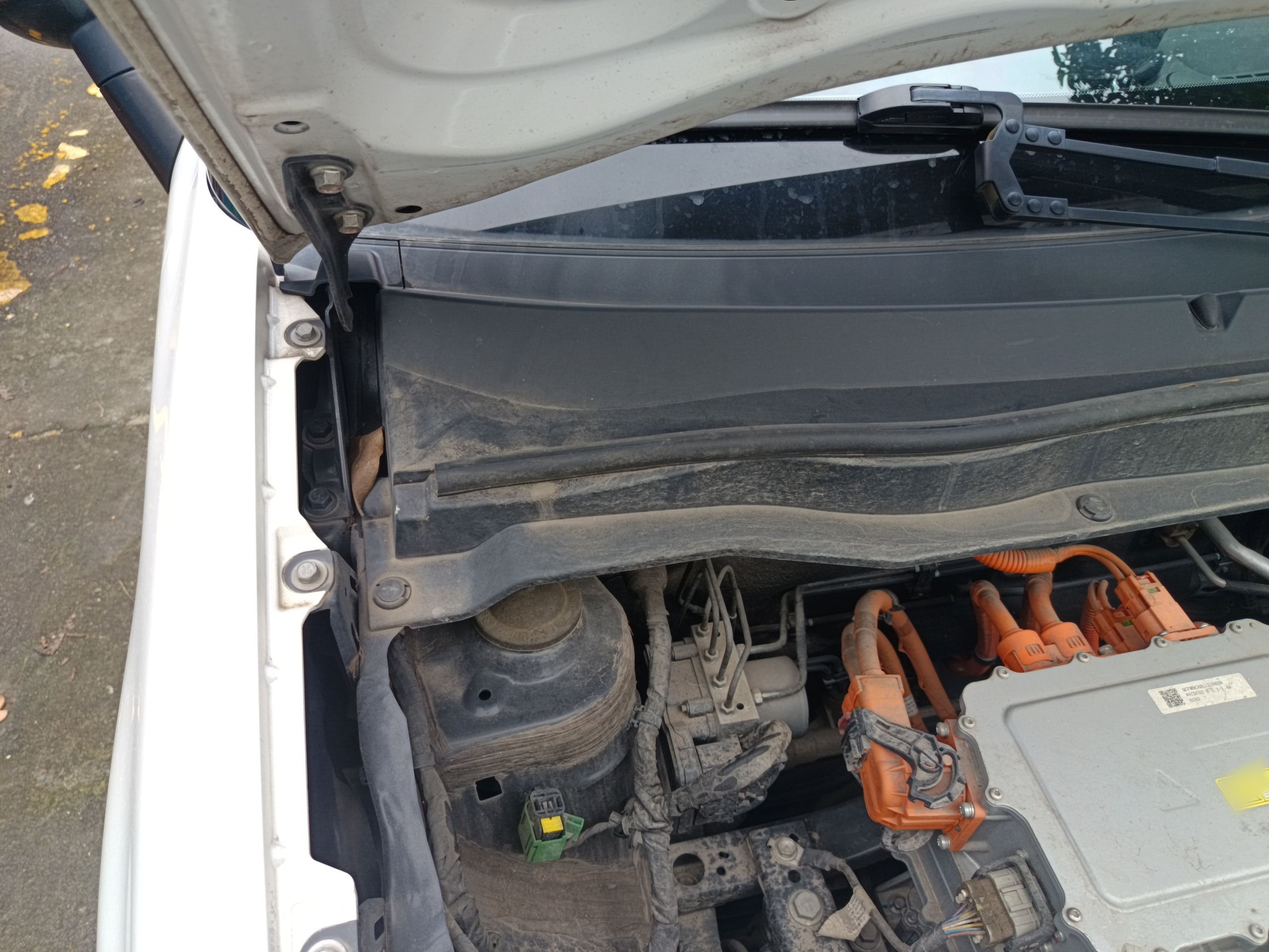 欧拉黑猫 2021款 301km 萌宠版