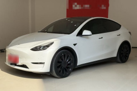 特斯拉 Model Y 2022款 Performance高性能全轮驱动版
