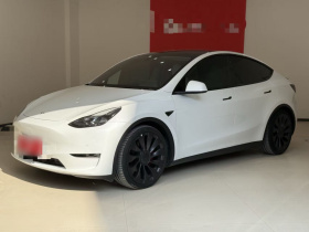 特斯拉 Model Y 2022款 Performance高性能全轮驱动版