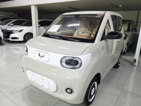 五菱汽车 宏光MINIEV 2024款 第三代 215km 青春版