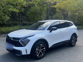 起亚 狮铂拓界 2023款 1.5T 两驱豪华版