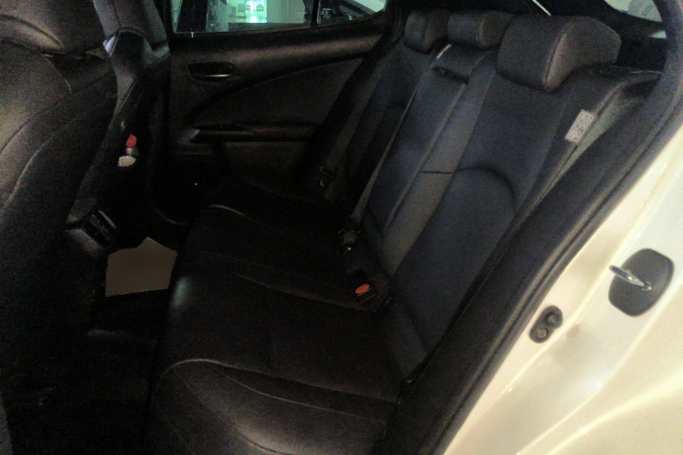 雷克萨斯UX新能源 2020款 300e 纯·悦版中控内饰21