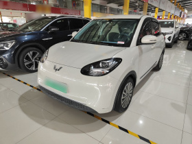 五菱汽车 五菱缤果 2023款 203km 轻享款