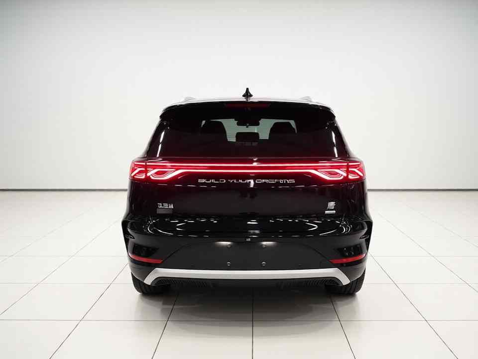 比亚迪 唐新能源 2025款 智驾版 DM-i 115KM 旗舰型(4)