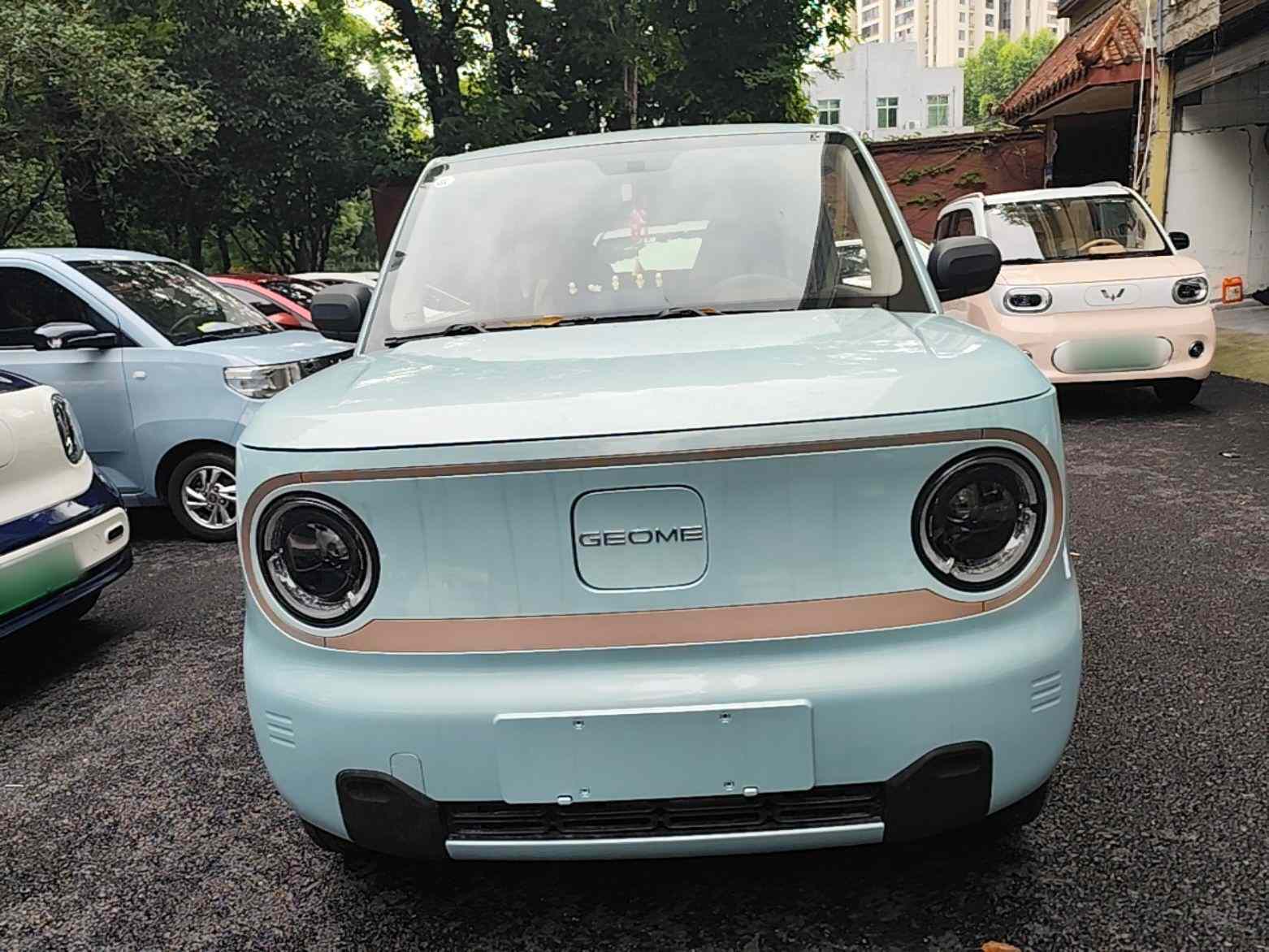 吉利银河 2024款 熊猫mini 200km 耐力熊(1)