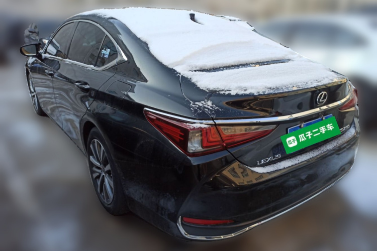雷克萨斯ES 2020款 200 卓越版车身外观6003