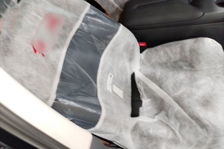 红旗E-QM5 2025款 500km 出行版局部细节41