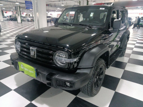 坦克300 2024款 2.0T 挑战者