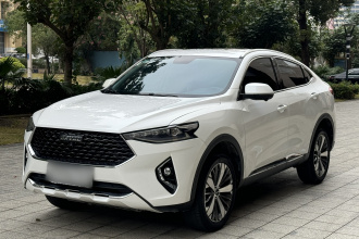 哈弗F7x 2019款 1.5T 两驱极智潮玩版