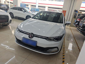 大众 高尔夫 2021款 280TSI DSG Pro