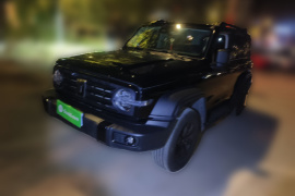 坦克300 2024款 2.0T 征服者