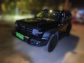 坦克300 2024款 2.0T 征服者