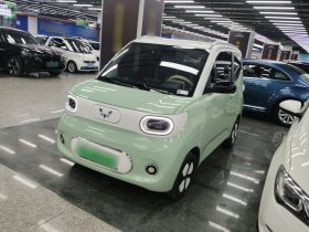 五菱汽车 宏光MINIEV 2024款 第三代 215km 进阶版