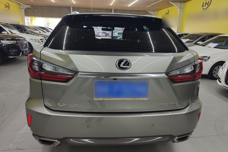 雷克萨斯RX 2016款 300 四驱典雅版 国V车身外观6