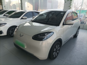 五菱汽车 五菱缤果 2023款 333km 灵犀互联+款