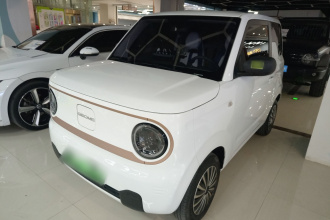 吉利银河 2024款 熊猫mini 200km 耐力熊