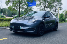 特斯拉 Model Y 2021款 长续航全轮驱动版