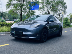 特斯拉 Model Y 2021款 长续航全轮驱动版