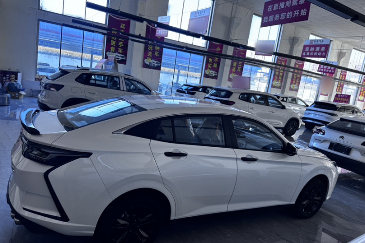 东风风神 奕炫 2025款 1.5L 荣耀版车身外观6005