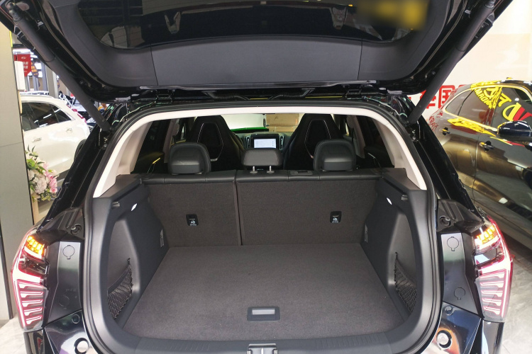 红旗HS3 PHEV 2024款 PHEV 115km 劲为版局部细节23