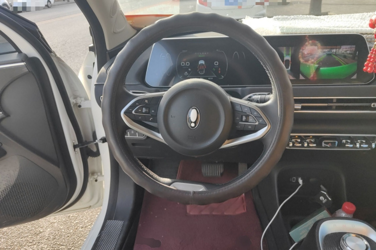 欧拉好猫 2021款 400km标准续航 维纳斯版 磷酸铁锂局部细节13