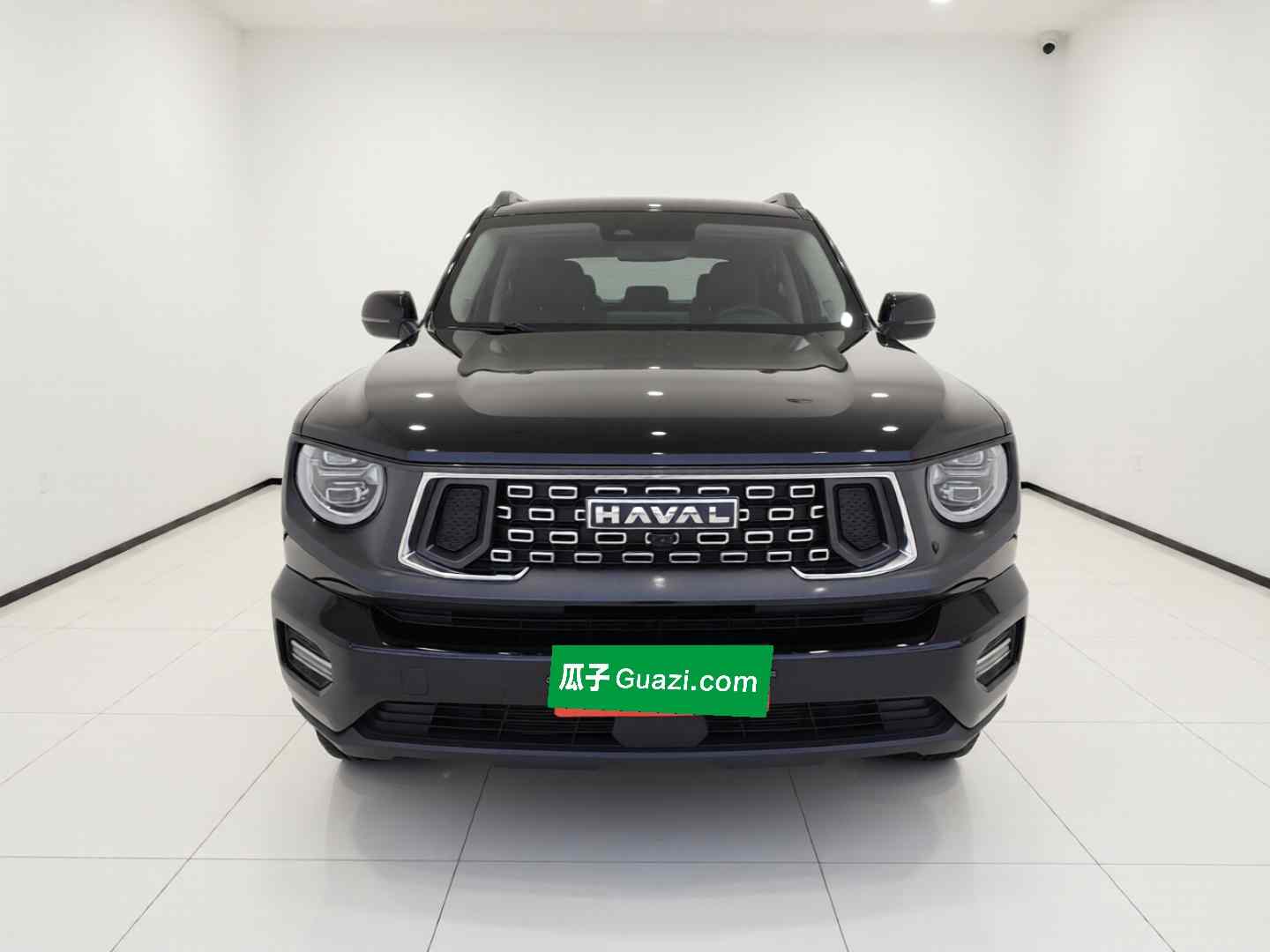 哈弗大狗 PLUS 2023款 1.5T 两驱潮野版Plus(1)