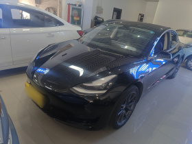 特斯拉 Model 3 2020款 改款 标准续航后驱升级版