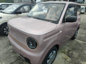 吉利银河 2024款 熊猫mini 200km 耐力熊