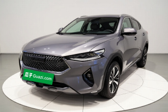 哈弗F7x 2021款 2.0T 两驱极智潮玩版